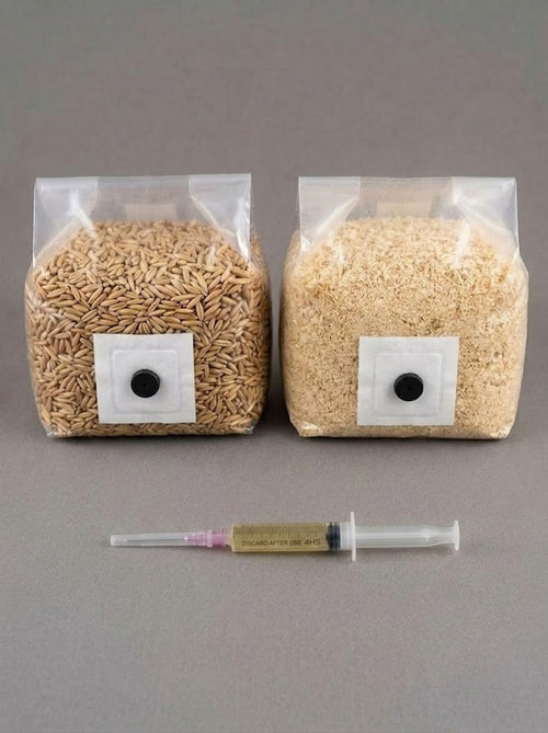 Kit de Cultivo de Hongos Todo en Uno | Sustrato, Grano y Jeringas