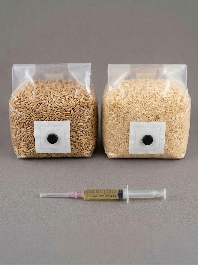 Kit de Cultivo de Hongos Todo en Uno | Sustrato, Grano y Jeringas